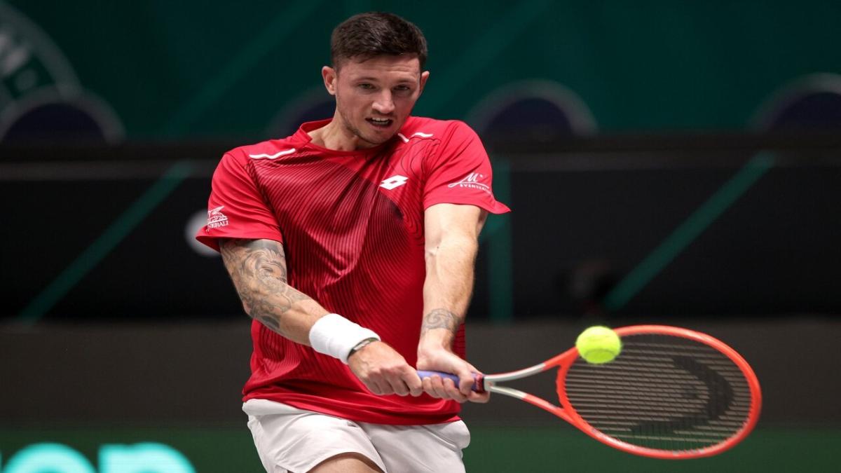 Dennis Novak - Davis Cup
